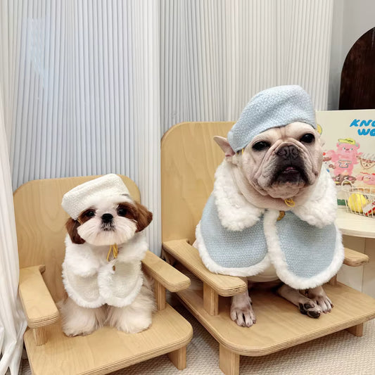 Elegant Cloak with Hat Clothes for Cats & Dogs