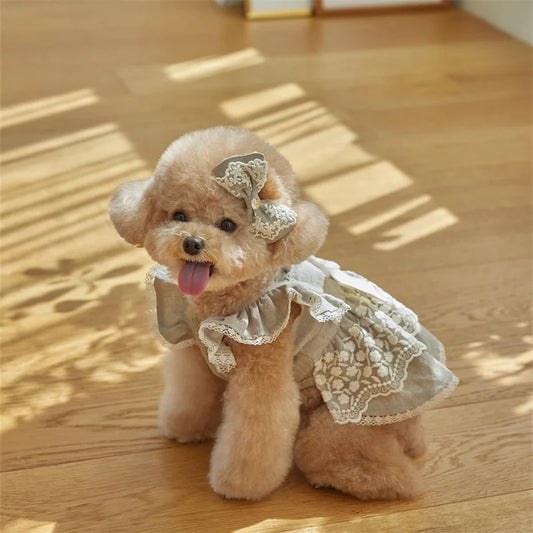 Bow Lace Sleeve Dress for Cats & Dogs