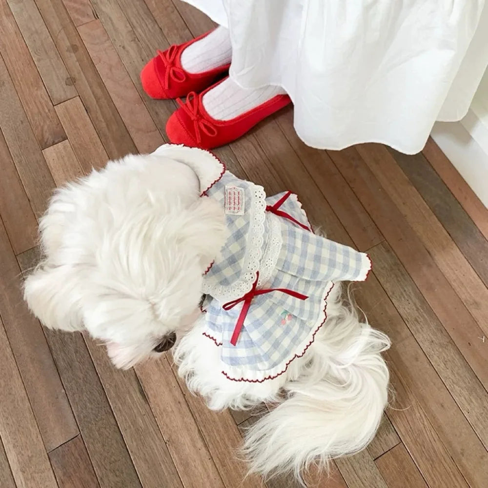 Tulle Dress for Cats & Dogs
