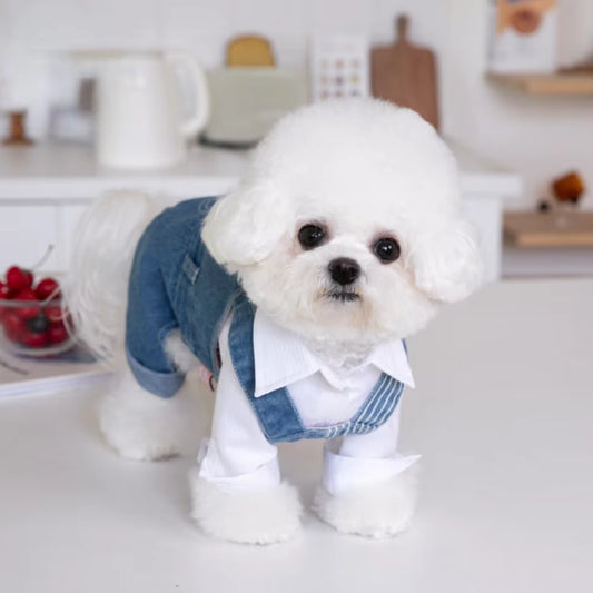 Striped Denim Jumpsuit for Cats & Dogs