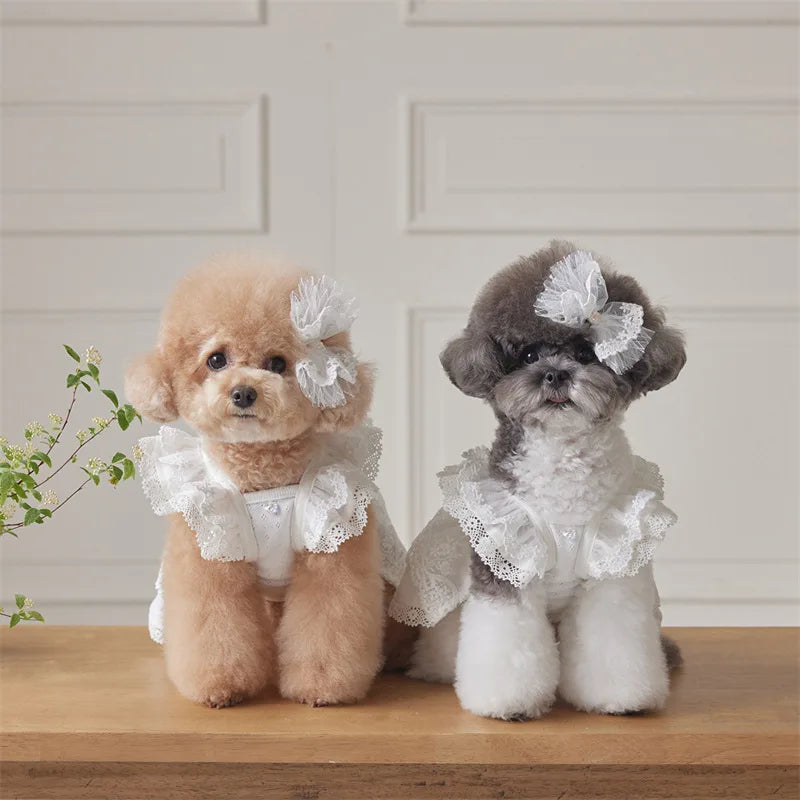 Lace Flying Sleeve Dress for Cats & Dogs