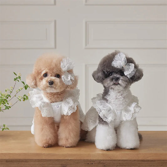 Lace Flying Sleeve Dress for Cats & Dogs