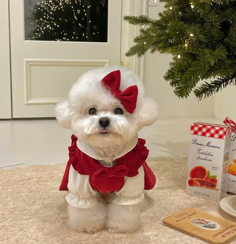 Princess Bow Knot Dress Set for Cats & Dogs