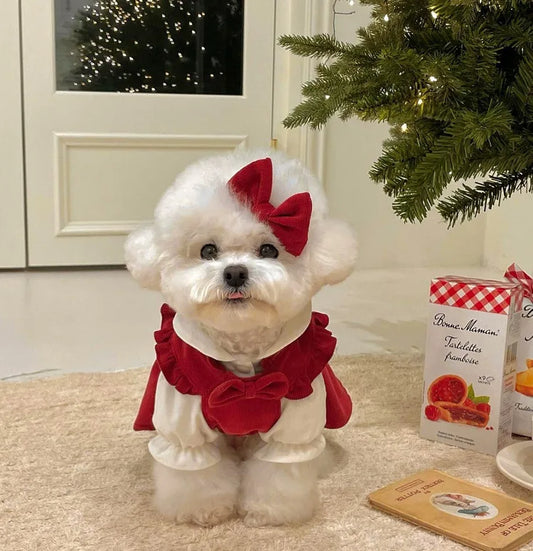 Princess Bow Knot Dress Set for Cats & Dogs