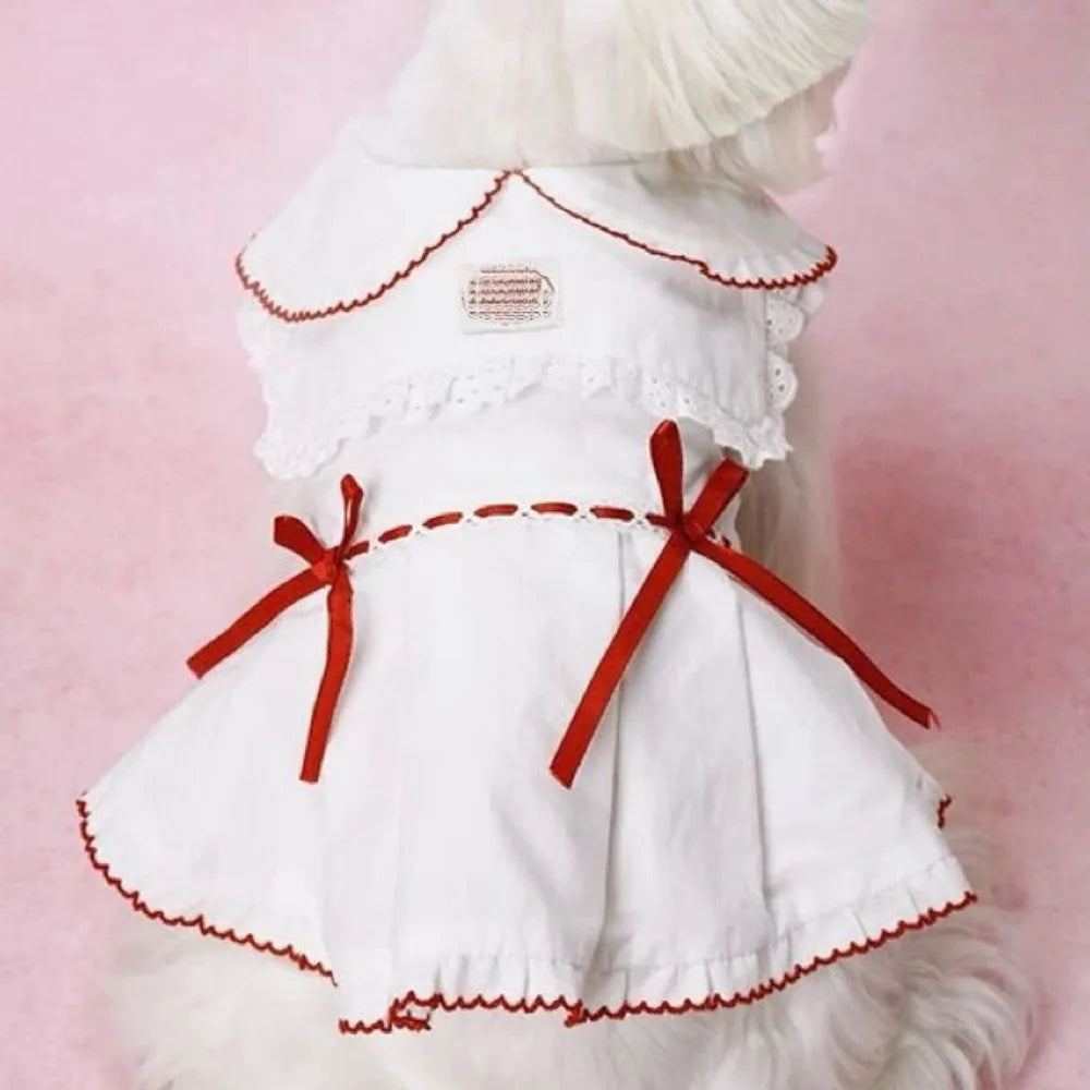 Tulle Dress for Cats & Dogs