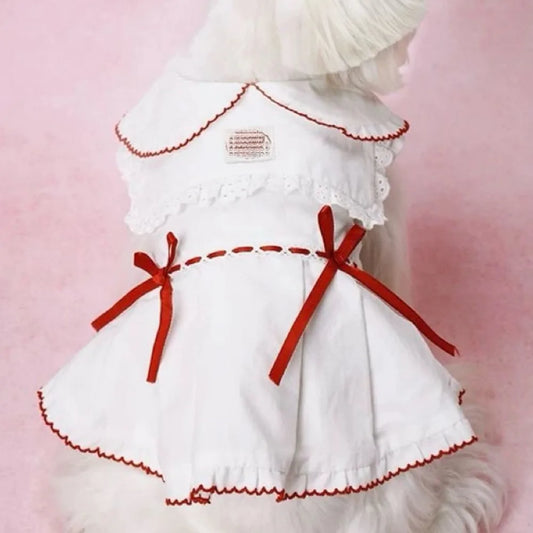 Tulle Dress for Cats & Dogs